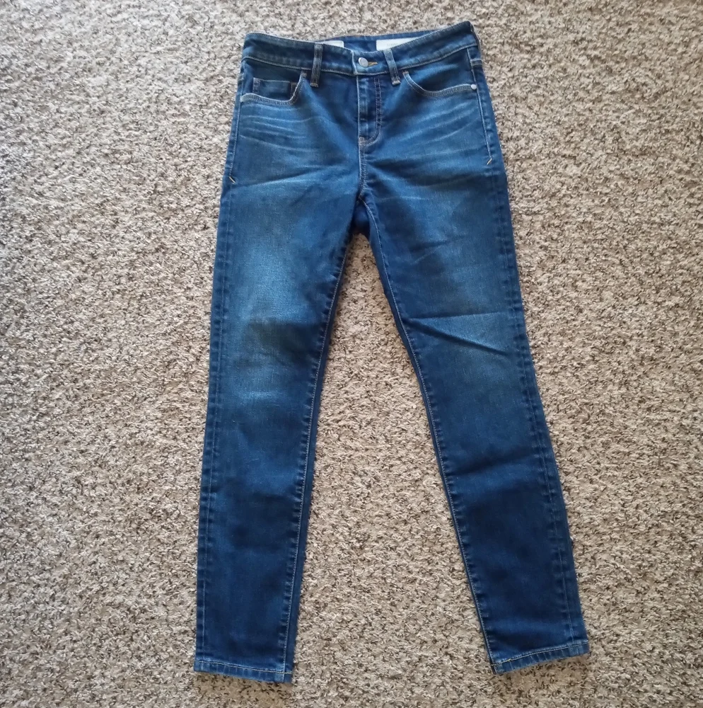 Anthropologie Pilcro Women's Script High-Rise Skinny Jean Cotton Blue Size 28 - Picture 2 of 8